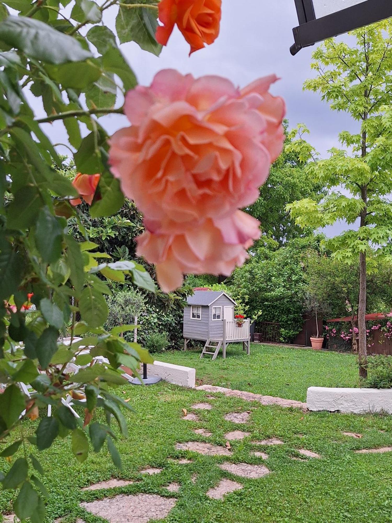 Casa Paola Daire Borso del Grappa Dış mekan fotoğraf