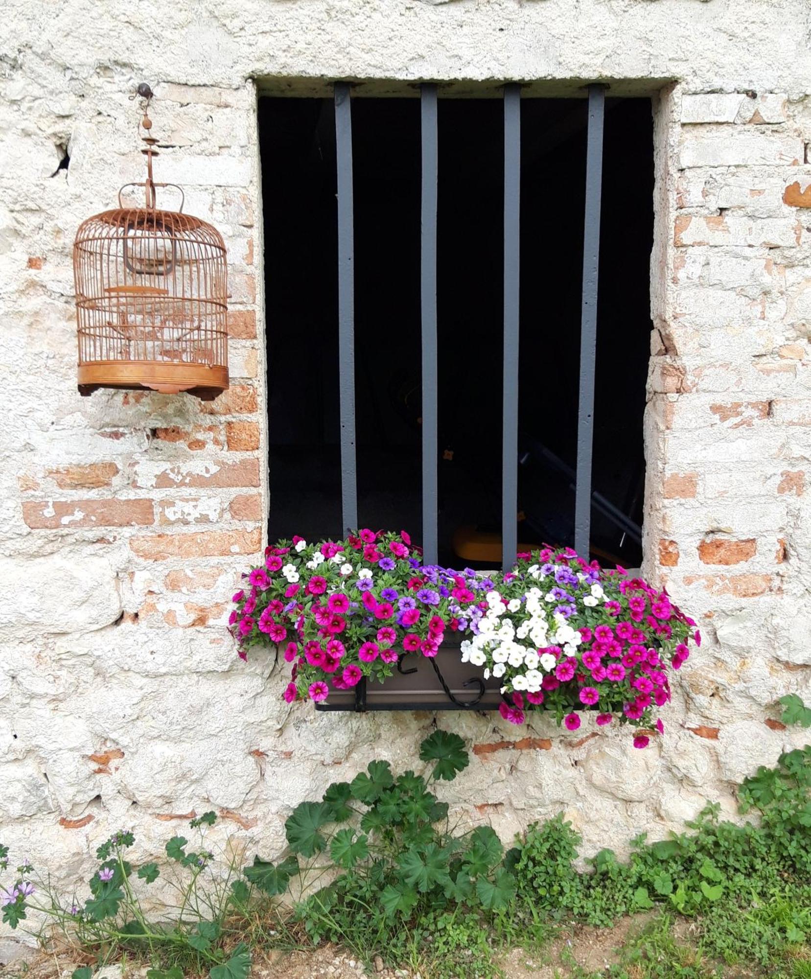 Casa Paola Daire Borso del Grappa Dış mekan fotoğraf