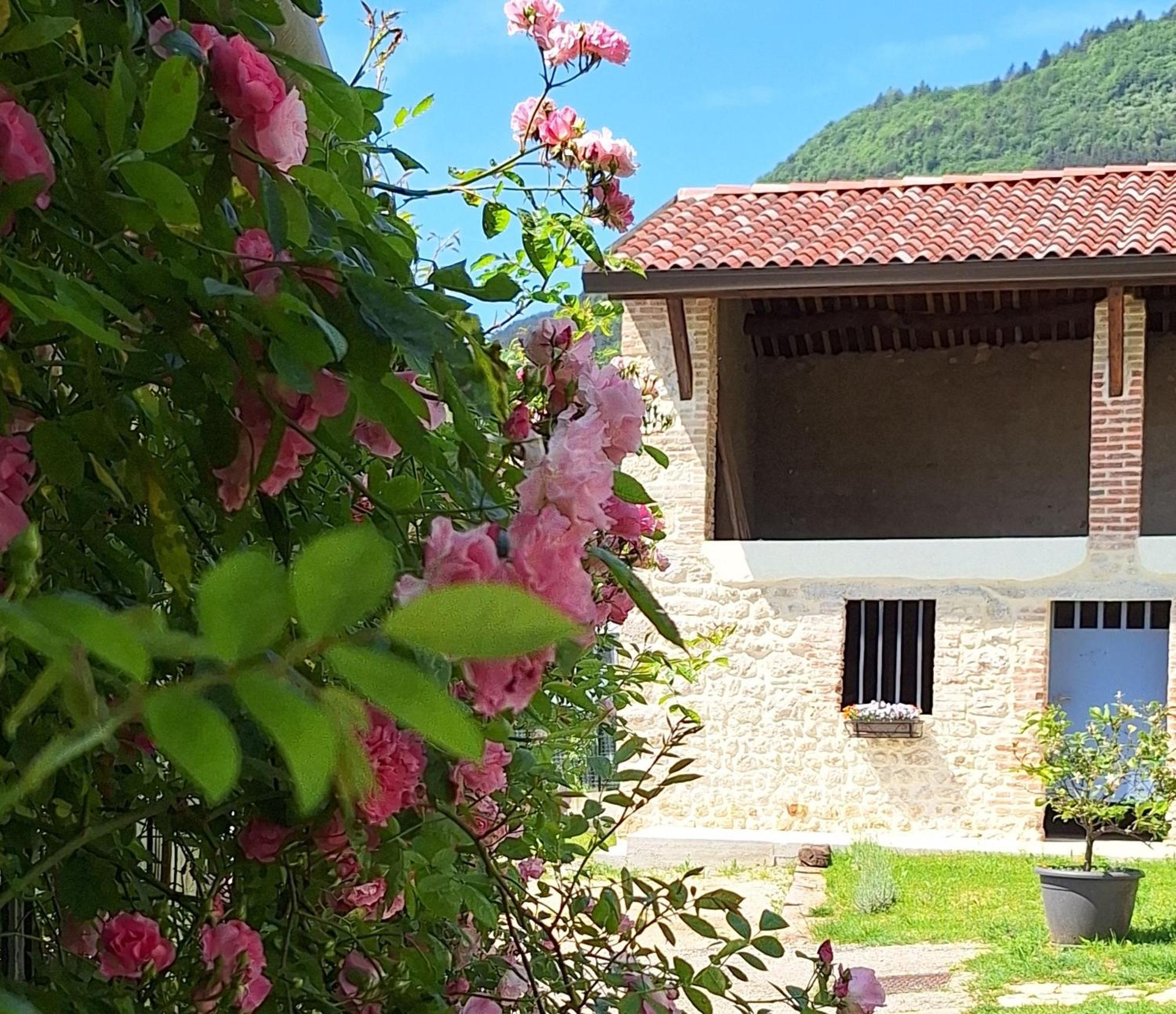 Casa Paola Daire Borso del Grappa Dış mekan fotoğraf
