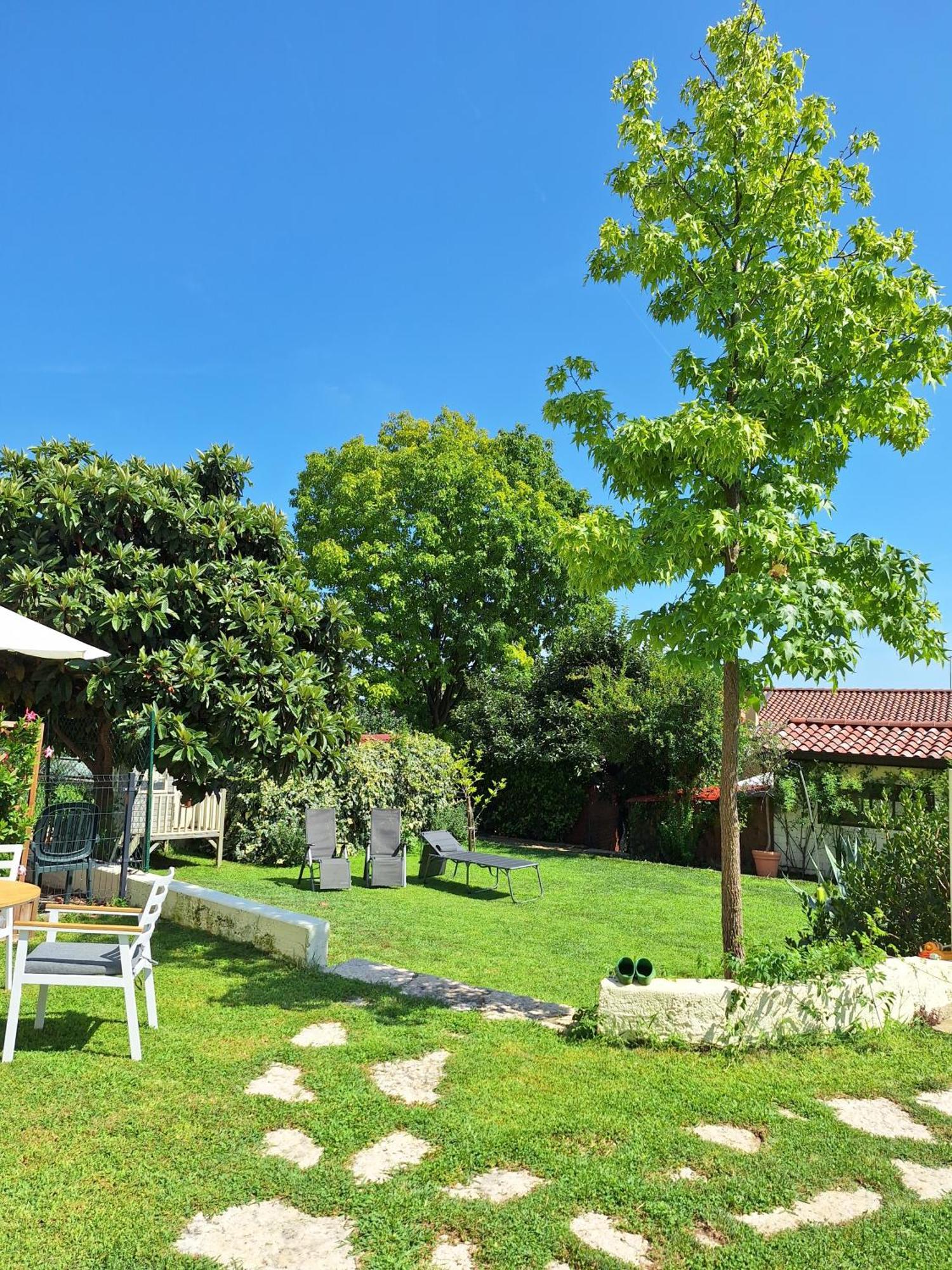 Casa Paola Daire Borso del Grappa Dış mekan fotoğraf